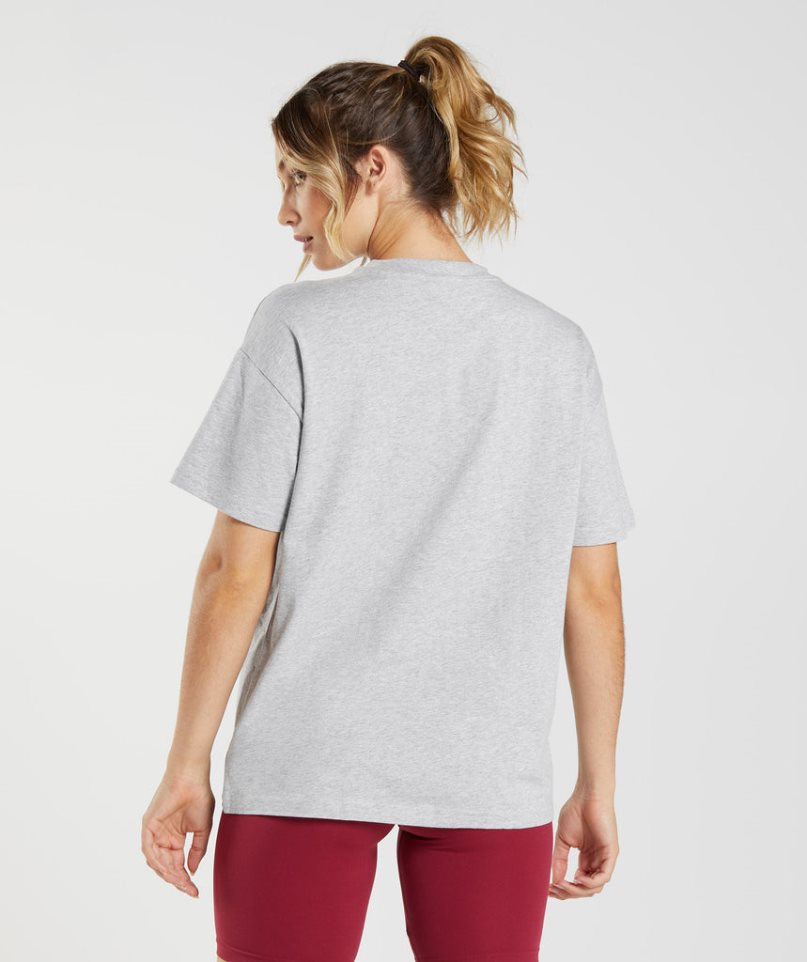 Women's Gymshark Training Oversized T-Shirts Light Grey | CA AN183D